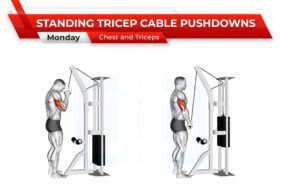 Standing Tricep cable pushdowns