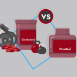 Clenbuterol vs winstrol