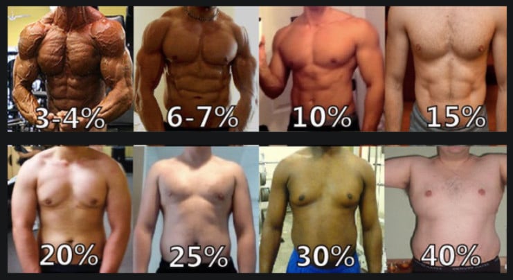 body-fat-chart-for-man-boobs