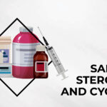 5 Safest Steroid Cycles Main Image