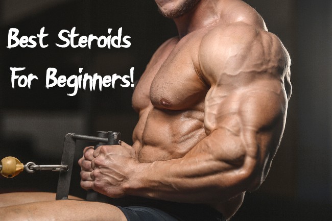 Steroids For Beginners