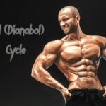 Dbol (Dianabol) cycle