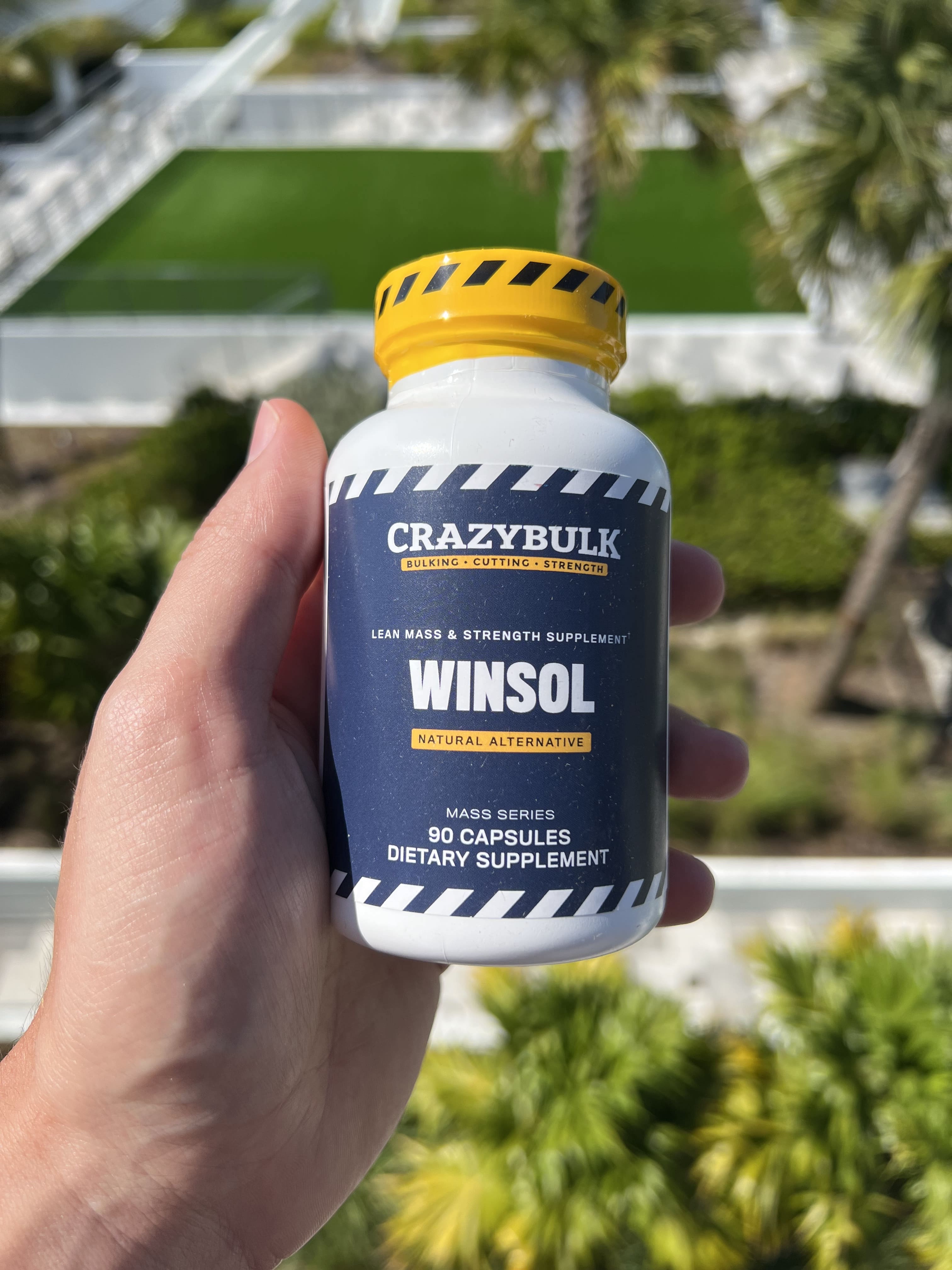 Winsol Review for Bodybuilding