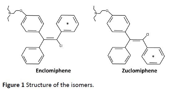 Enclomiphene: Review, PCT, Side Effects, Cycle (for 2025)