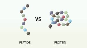 Best Peptides for Healing