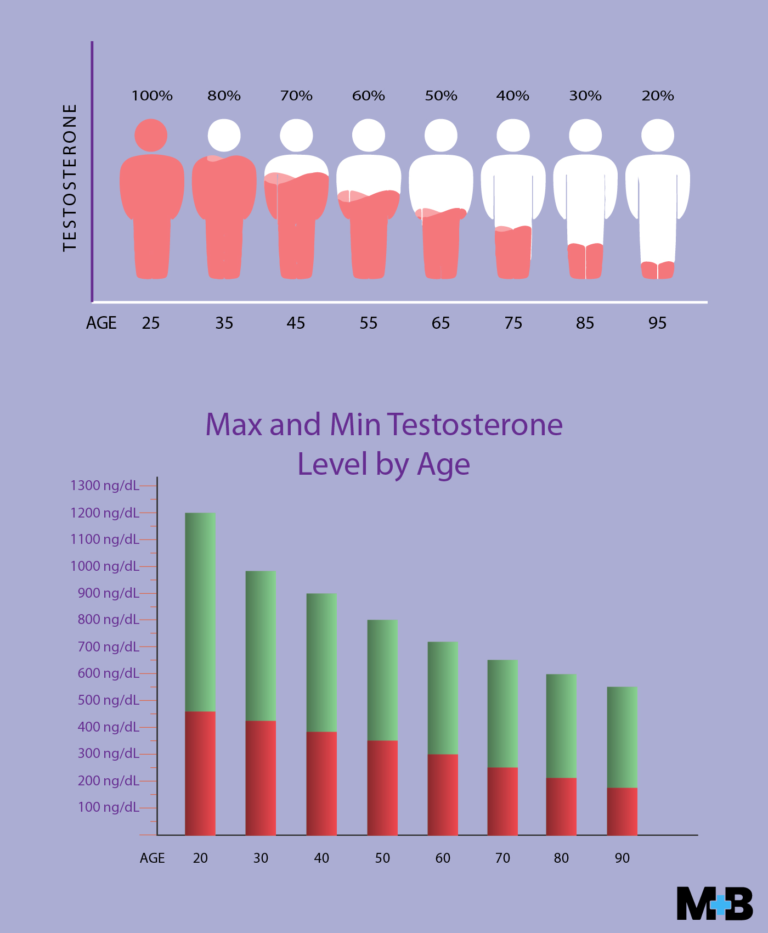 12 Testosterone Level Statistics, Graphs, And Figures