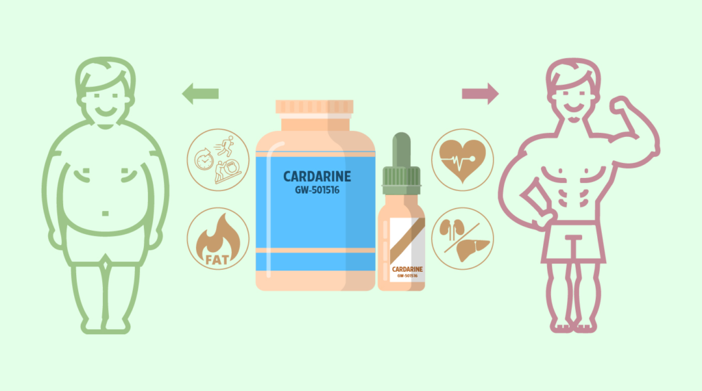 Cardarine: Before and After