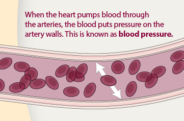 Do SARMs increase Blood Pressure?