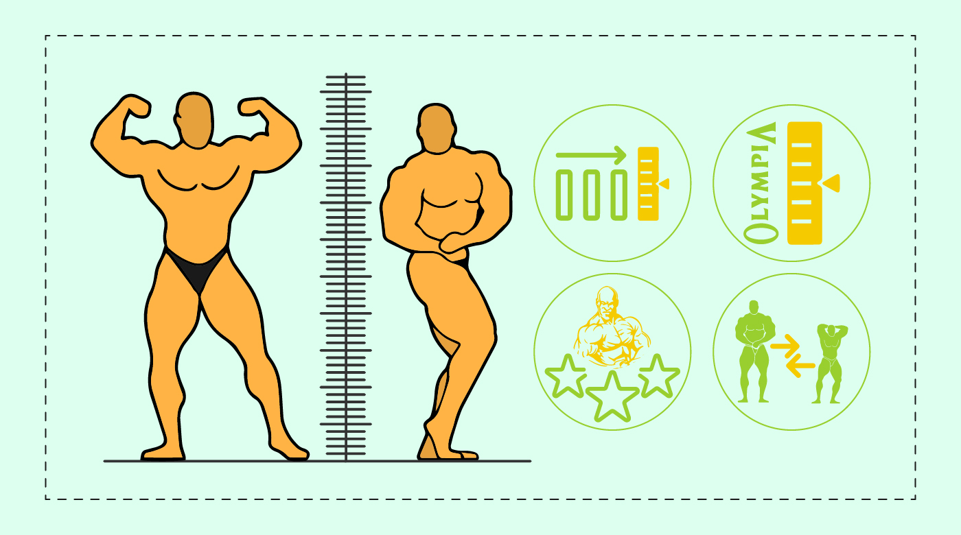 Average Bodybuilder Height And Sizes Statistics, And Facts
