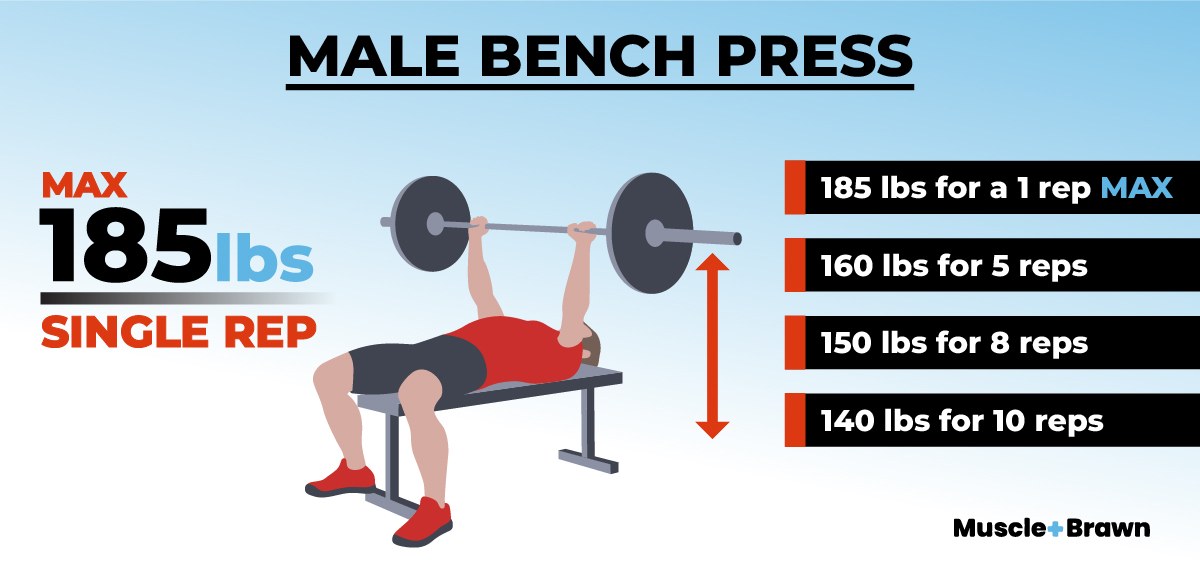 Male Vs Female Average Strength The Top 10 Facts
