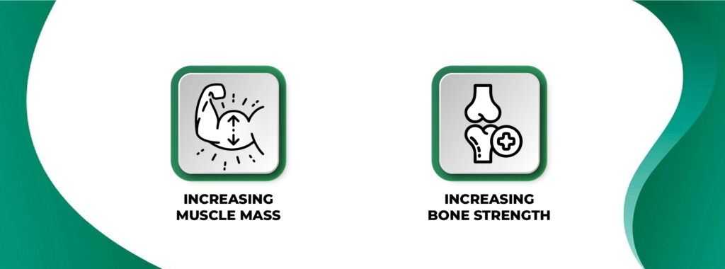 AC 262 works by increasing muscle mass and bone strength
