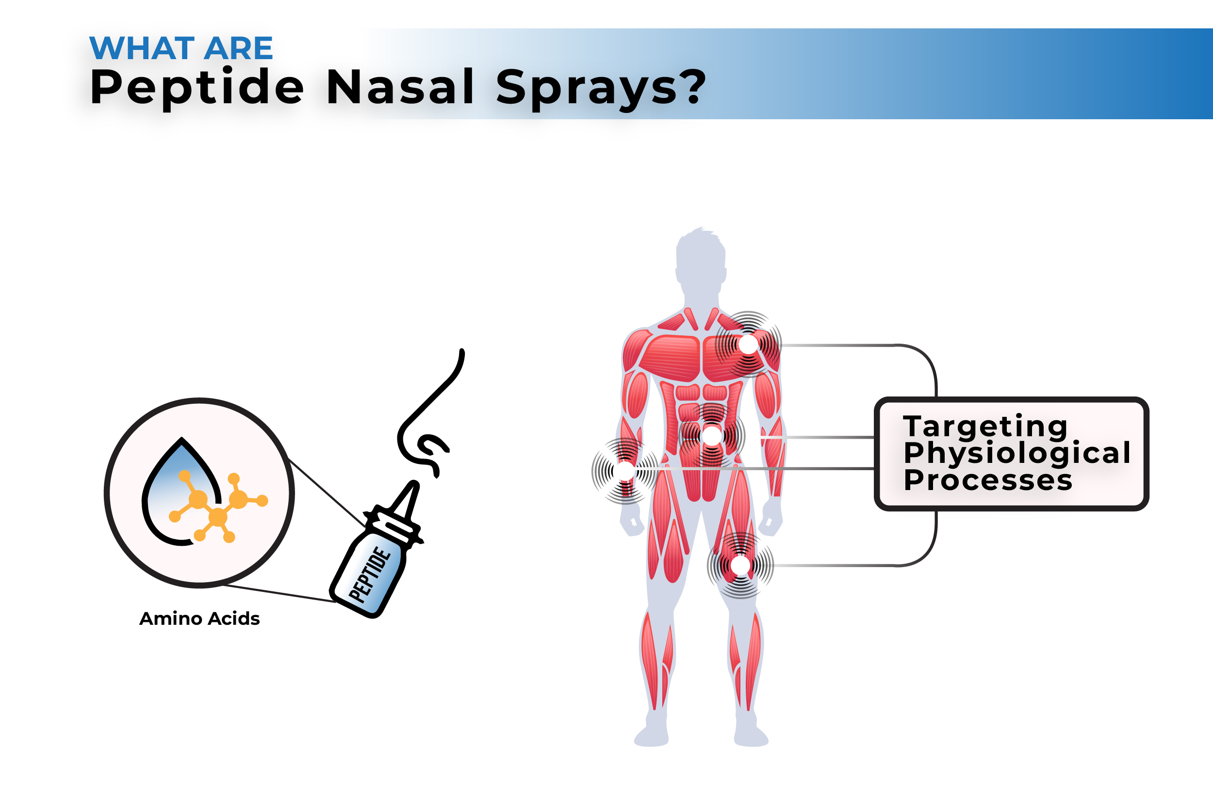 Peptide Nasal Sprays