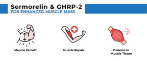 realistic muscle-building goals