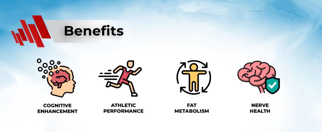 Acetyl-L-Carnitine Benefits