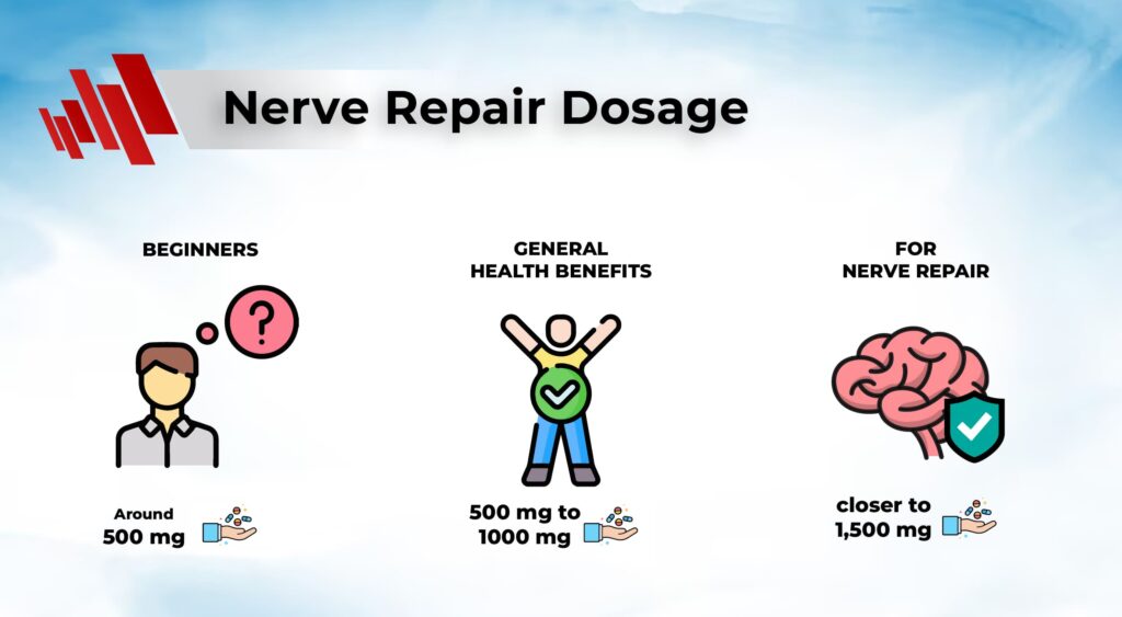 Acetyl-L-Carnitine Nerve Repair Dosage 
