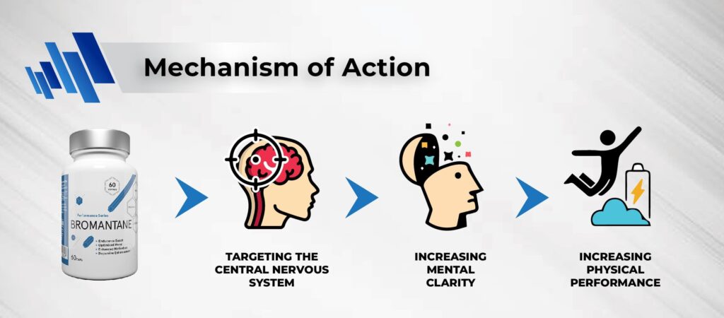 Mechanism of action of Bromantane Supplement
