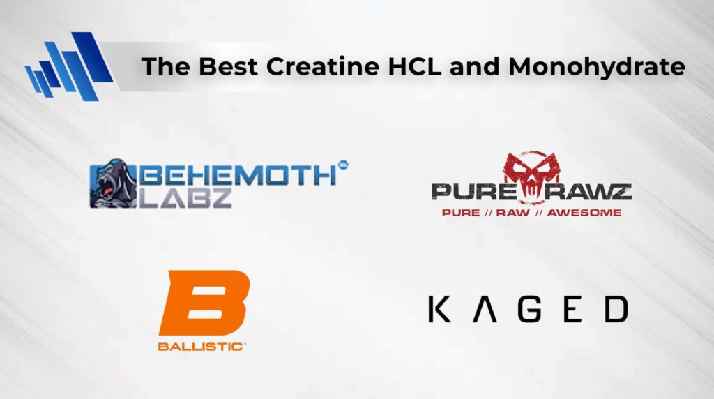 The best Creatine HCL vs Monohydrate brands