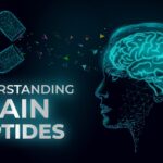 Understanding Brain Peptides