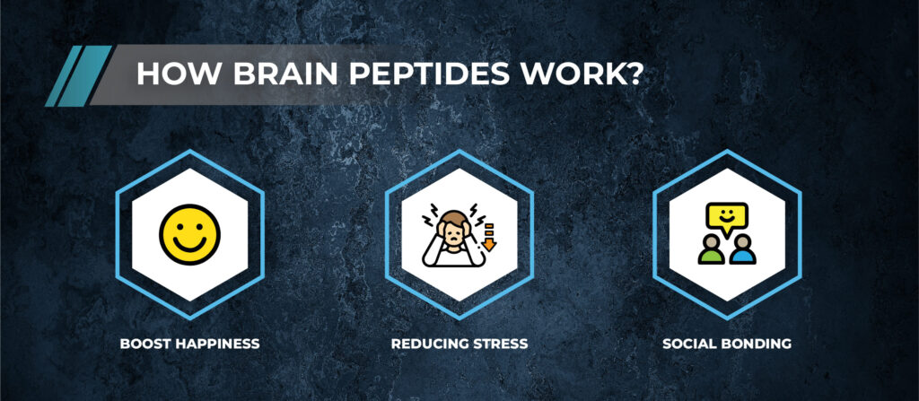 How do brain peptides work 