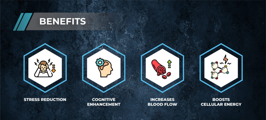 Benefits of brain peptides 