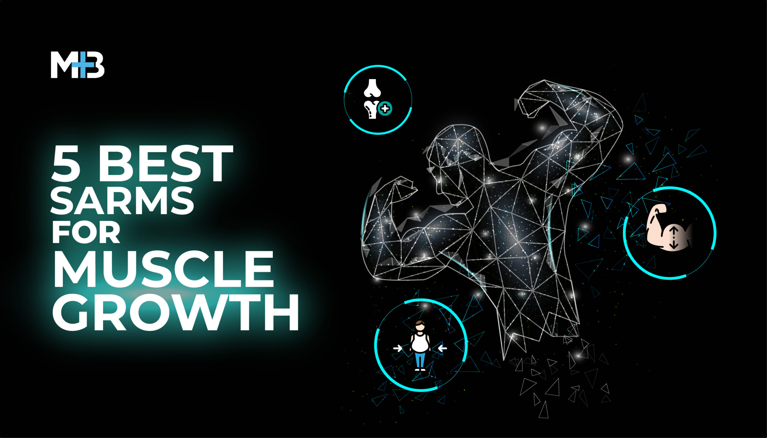 SARMs for Muscle Growth