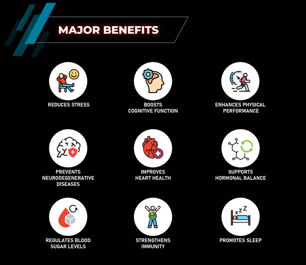 ประโยชน์ชั้นนำของอัศวคันธา