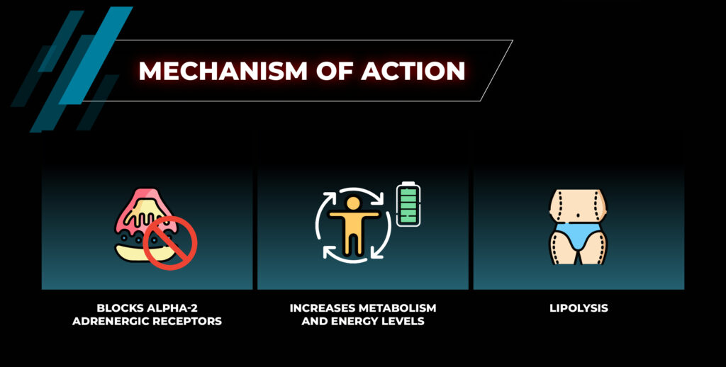 Yohimbine Weight Loss