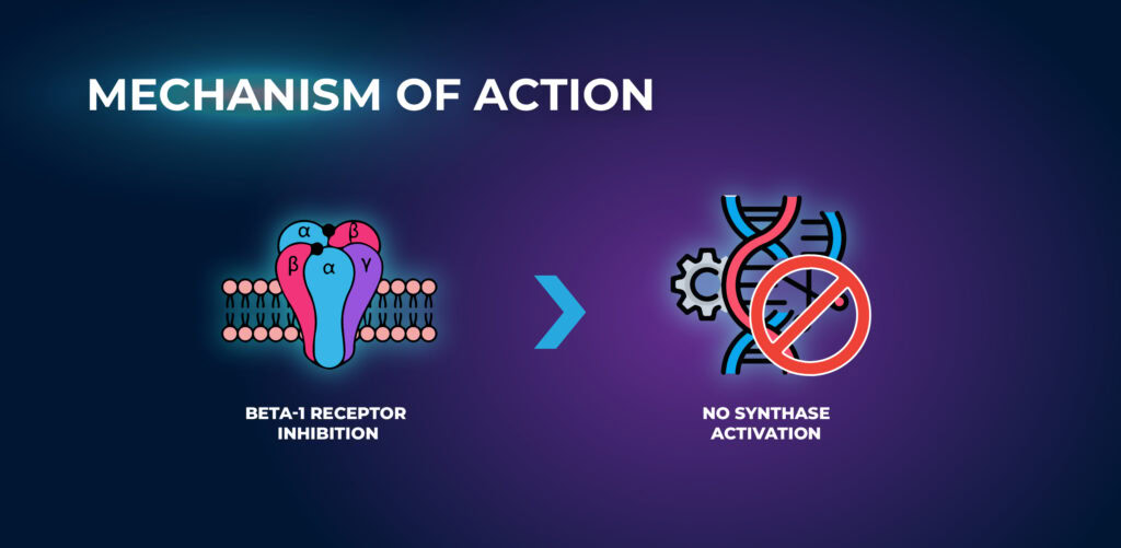 Mechanism of Action - Nebivolol