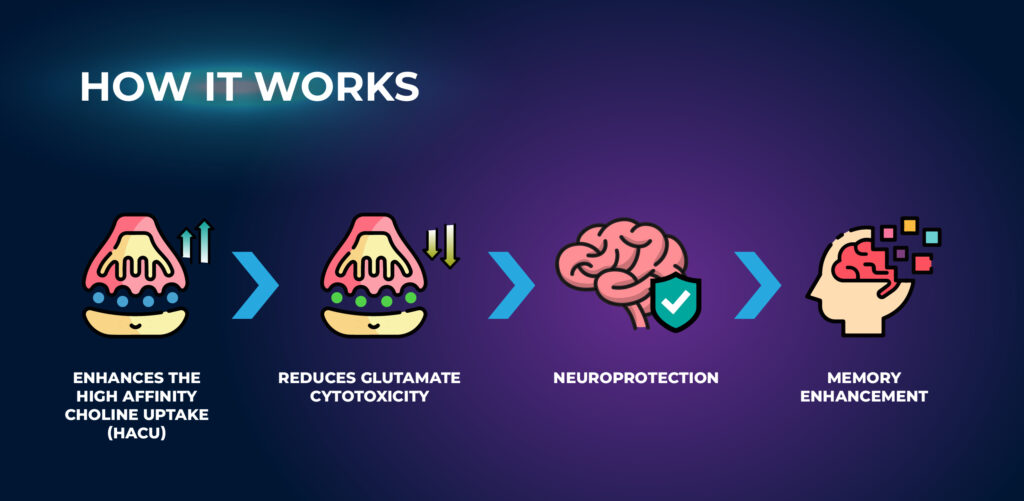 วิธีการทำงานของ Coluracetam