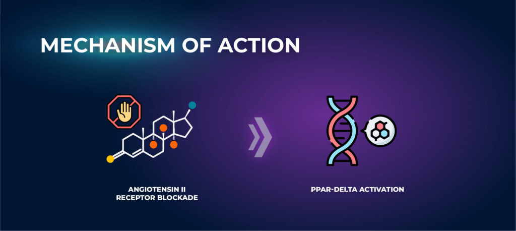 Mechanism of Action - Telmisartan
