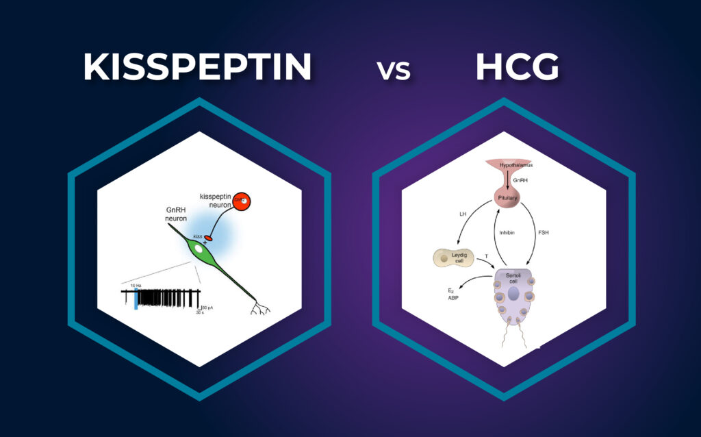 Kisspeptin vs. HCG