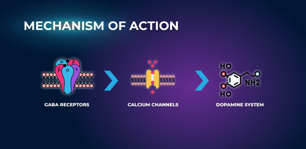 Mechanism of Action - Phenibut Free Amino Acid