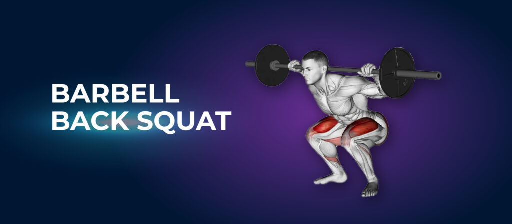 Barbell Back Squat - Big Legs Workout