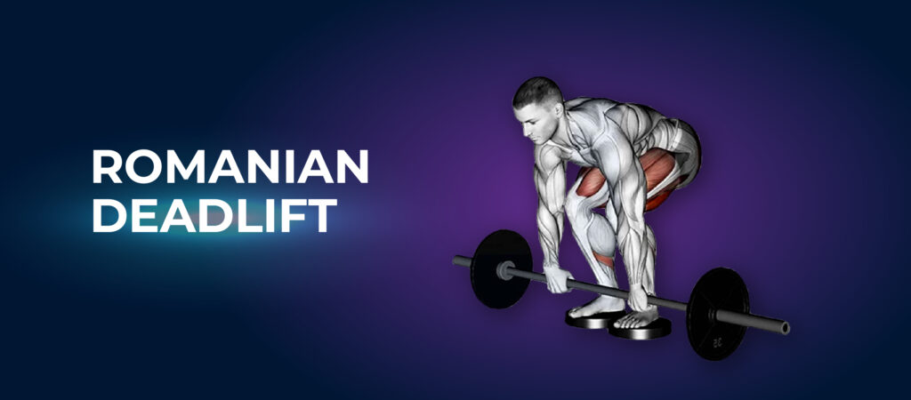 Romanian Deadlift - Big Legs Workout