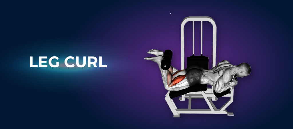 Leg Curl - Big Legs Workout