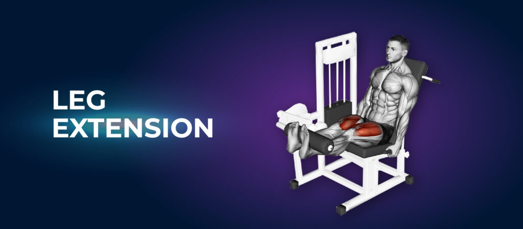 Leg Extension