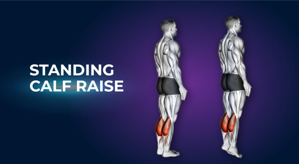 Standing Calf Raise
