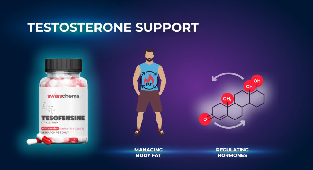 การสนับสนุนเทสโทสเตอโรน
