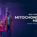 Supplements for Mitochondrial Health