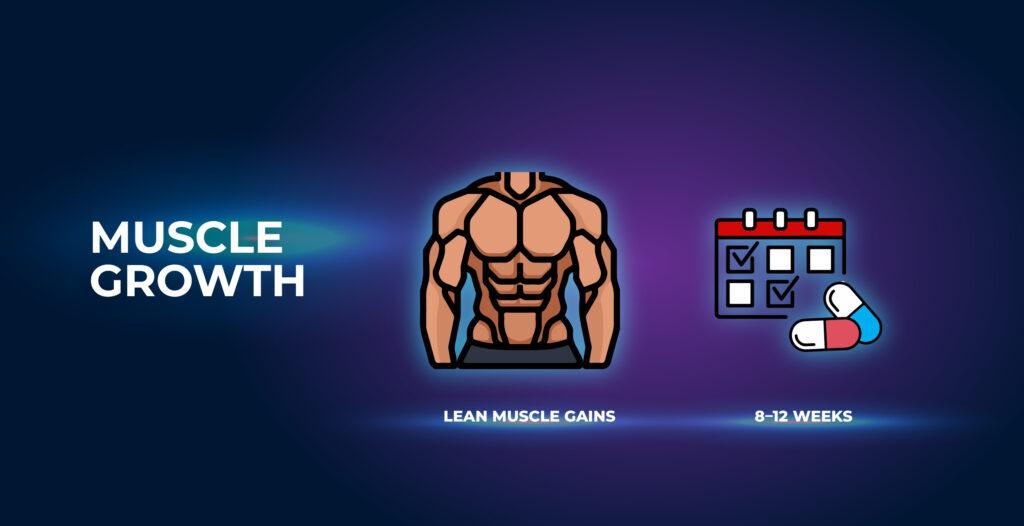 근육 성장 - MK-677