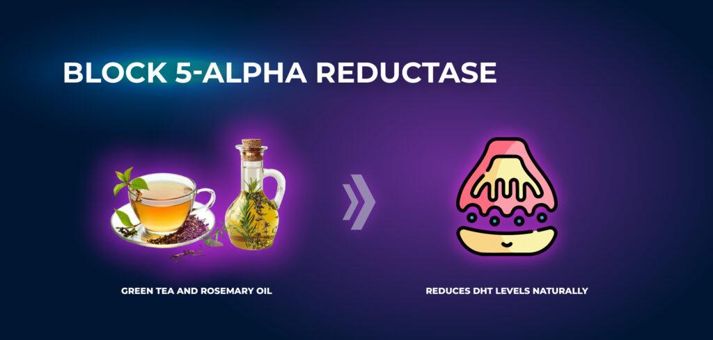 ปิดกั้น 5-Alpha - ตัวปิดกั้น DHT