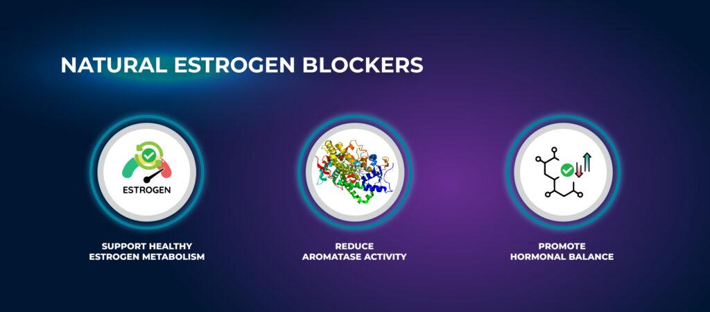 สารยับยั้งเอสโตรเจนธรรมชาติ