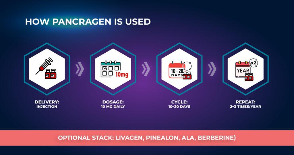 Pancragen은 어떻게 사용될까?