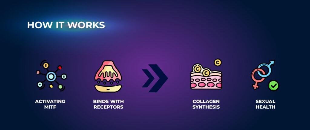 Mechanism of Action - Melanotan 1