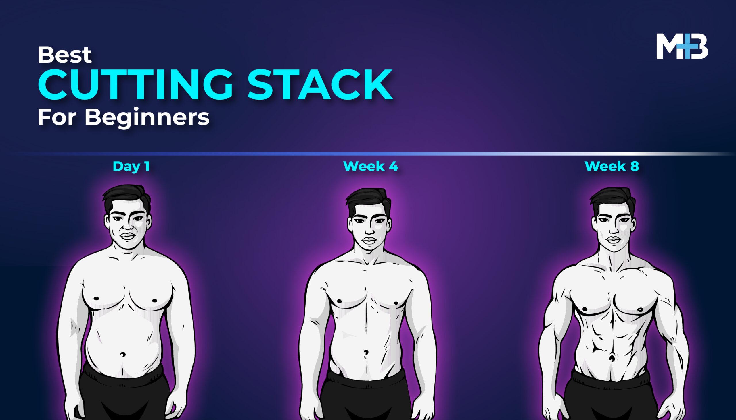 Best Cutting Stack for Beginners