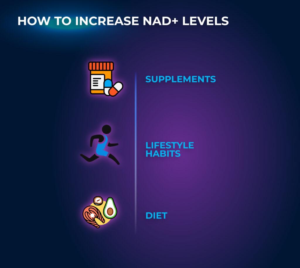 How to Increase NAD+ Levels