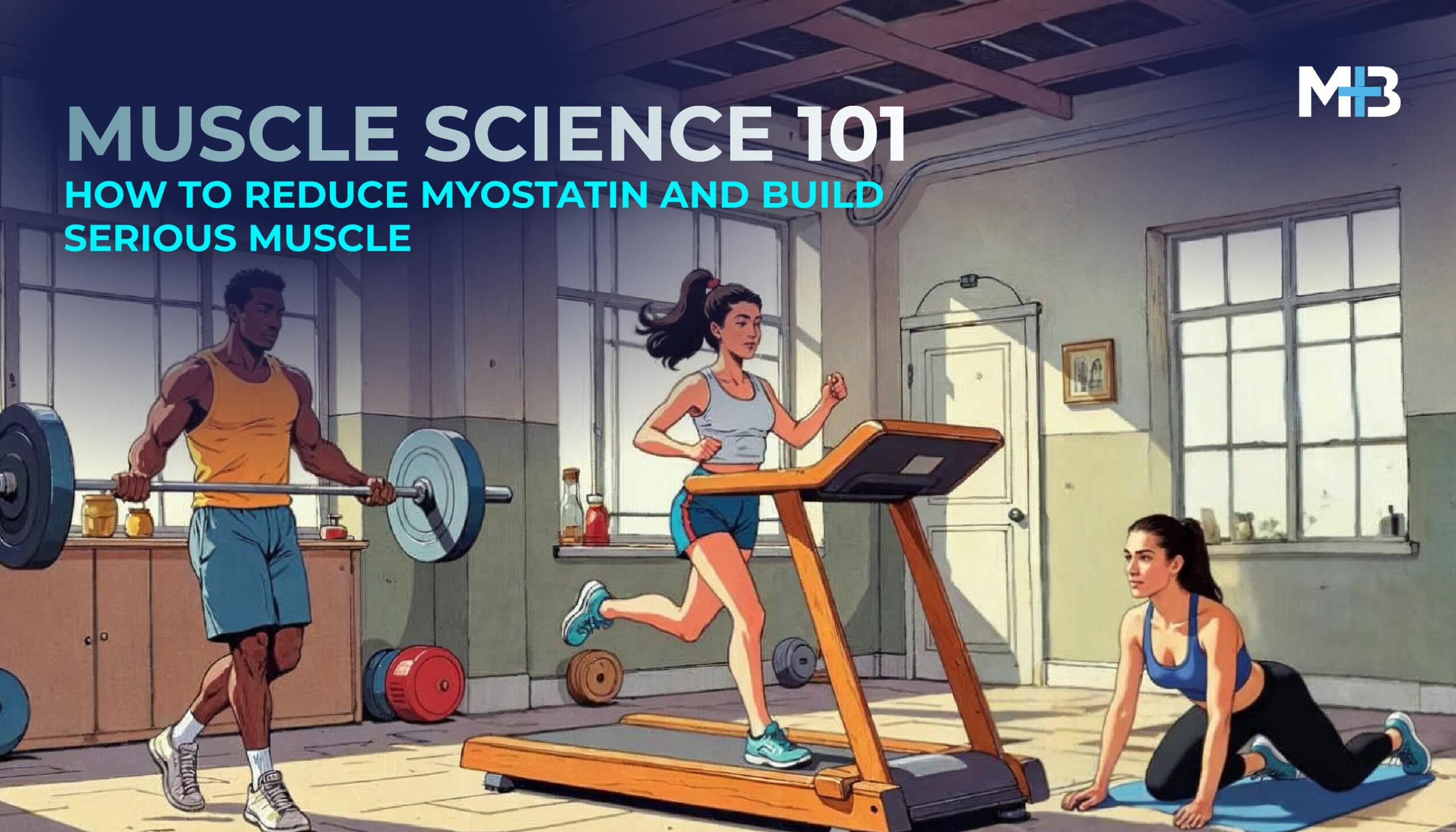 Myostatin