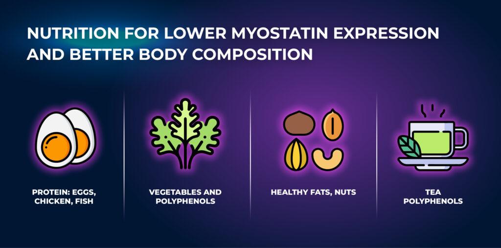 Nutrition for Lower Myostatin Expression