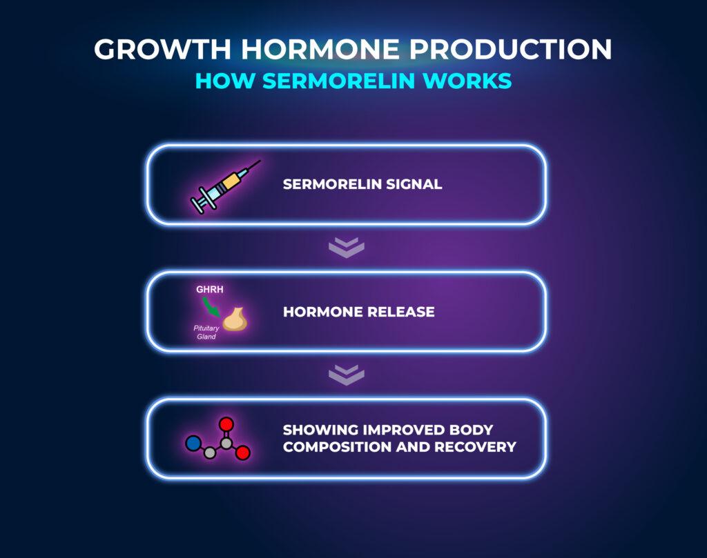 How Sermorelin Works
