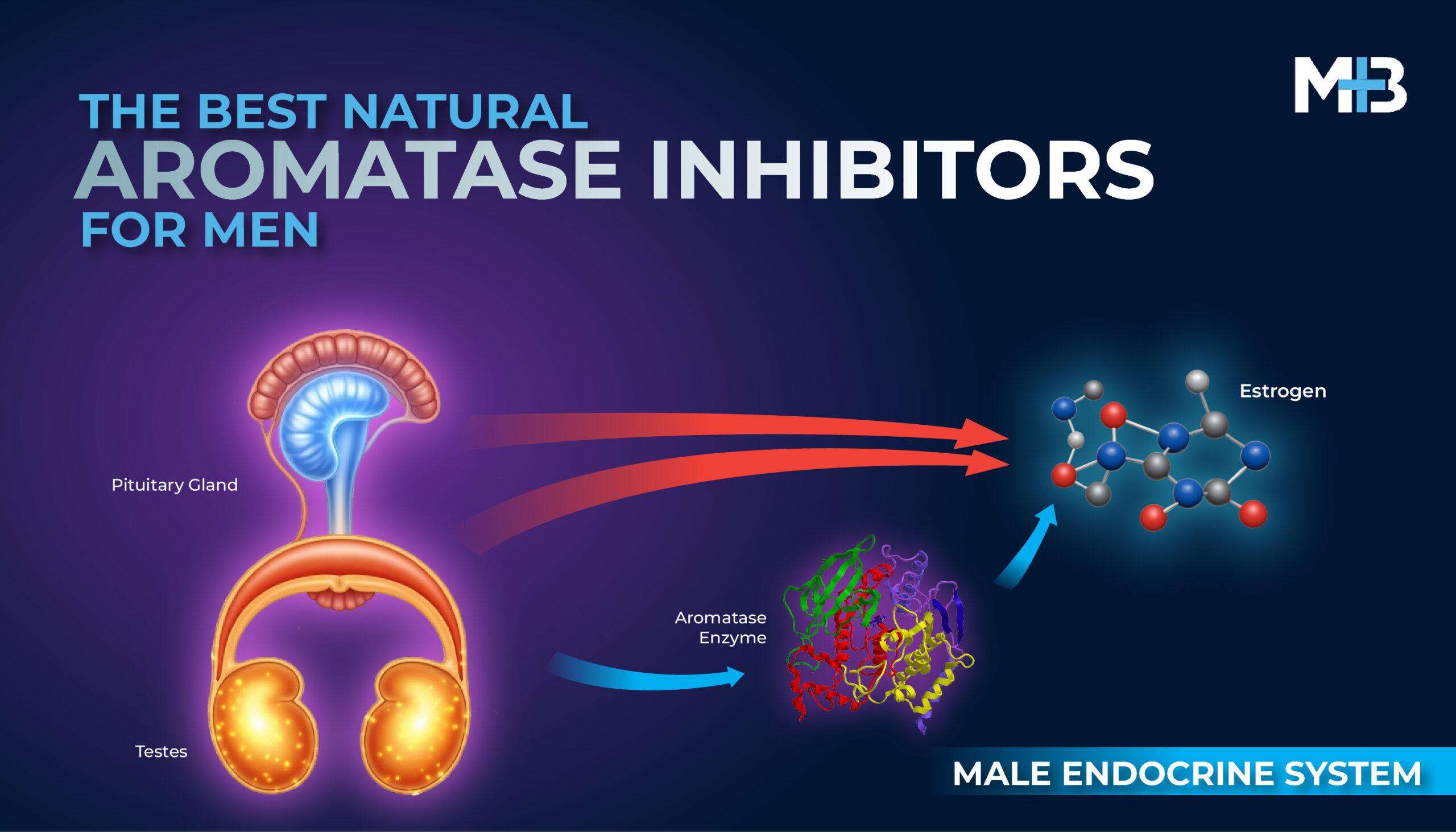 Aromatase Inhibitors